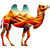Camel