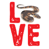 Ball Python Schlange Königspython
