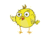 canari jaune
