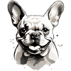 BOULEDOGUE FRANÇAIS D’AMOUR