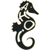 Ahoy Seahorse