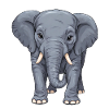 A friendly little elephant lady