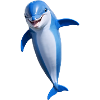 Cheerful Dolphin