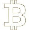 Bitcoin Logo Silhouette Digital Currency