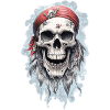Pirate Skull