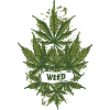 Weed Cannabis Release