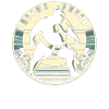 Sumo