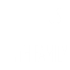 quality time family playful monotremes