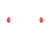 Grateful Heart Transplant