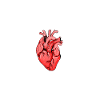 Funny Heart Transplant Gift