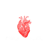 Heart Recipient Mom