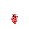 Funny Gift After Heart Transplant