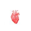 heartheart receiver dad