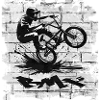 BMX