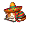 Cinco de Mayo Cat