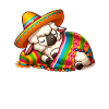 Sleeping Cinco de Mayo Sheep
