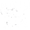 Teckel Teckel chien chien
