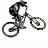 Downhill-Mountainbiken