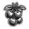 Lebensmittel / Obst / Markt / Vitamine / Design