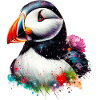 Puffin