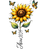 Sonnenblume Abi 2024 Prüfung