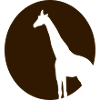 Giraffe Afrika