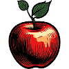 Lebensmittel / Obst / Markt / Vitamine / Design