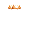 Chicken Wings Gifts