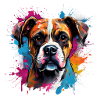 Boxer Dog
