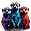 Meerkat Friends
