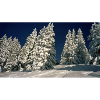 Winter in den Bergen