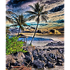 Hawaiian Shoreline