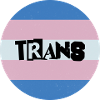 Trans Punk
