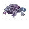 Galactic Turtle Silhouette