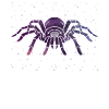 Celestial Spider Star Pattern