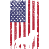 Beagle dog with USA flag