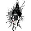 Border Collie in Aktion
