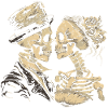 Amour éternel