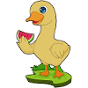 Canard Pastèque