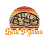 Ball Python Snake King Python