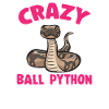 Ball Python Schlange Königspython