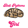 Ball Python Schlange Königspython
