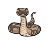 Ball Python Snake King Python