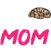 Ball Python Schlange Königspython