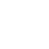 Vampire Skull