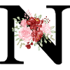 Red Floral Letter N