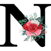 Roter Blumenbuchstabe N