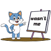 Wasn't Me