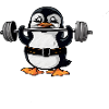 Penguin Weightlifting Dumbbell Fitness