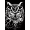 Hibou